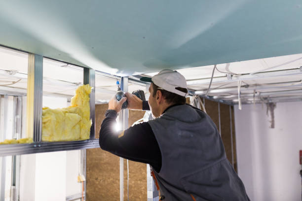 Best Spray Foam Insulation in Gman, IL