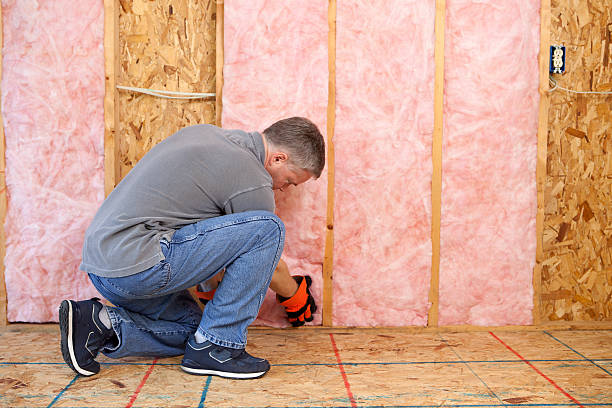 Best Spray Foam Insulation in Gman, IL