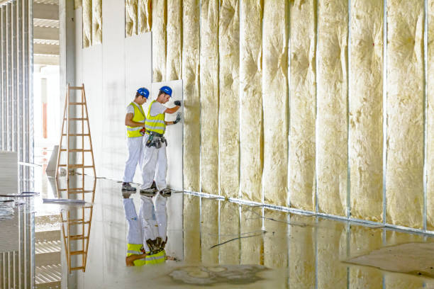 Best Insulation Maintenance and Repair in Gman, IL